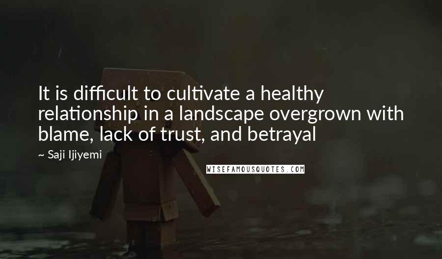 Saji Ijiyemi Quotes: It is difficult to cultivate a healthy relationship in a landscape overgrown with blame, lack of trust, and betrayal