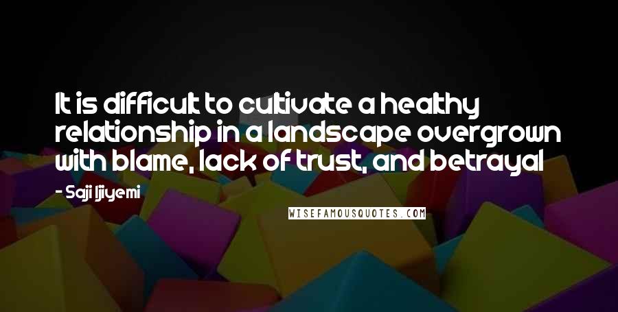 Saji Ijiyemi Quotes: It is difficult to cultivate a healthy relationship in a landscape overgrown with blame, lack of trust, and betrayal