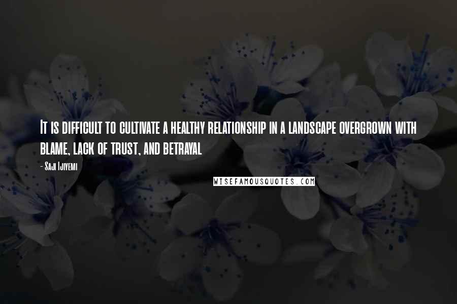 Saji Ijiyemi Quotes: It is difficult to cultivate a healthy relationship in a landscape overgrown with blame, lack of trust, and betrayal