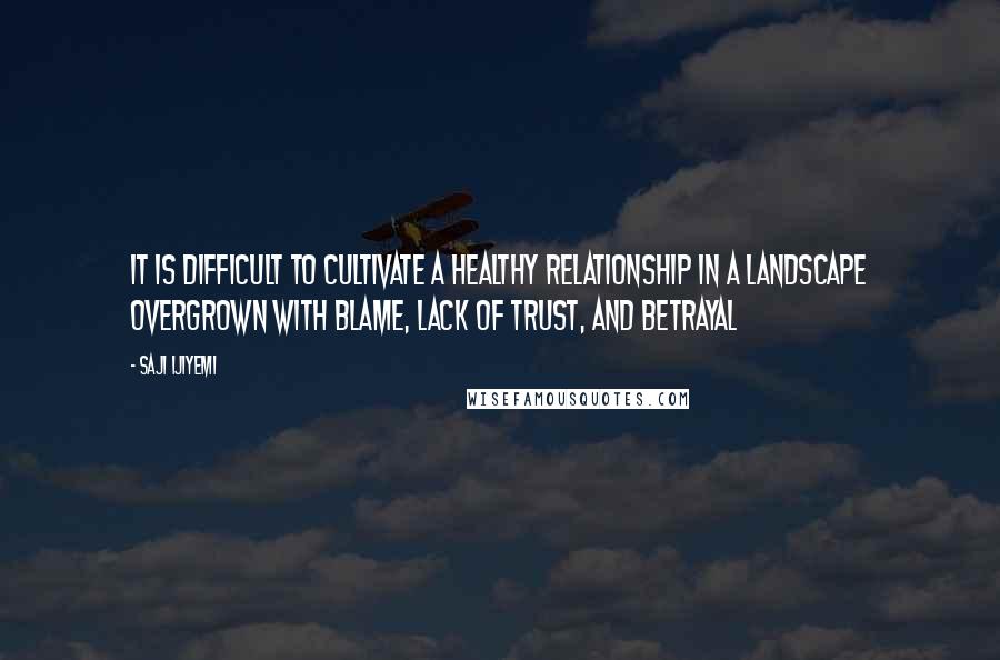 Saji Ijiyemi Quotes: It is difficult to cultivate a healthy relationship in a landscape overgrown with blame, lack of trust, and betrayal
