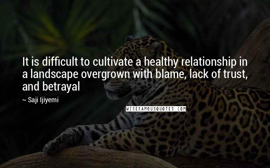 Saji Ijiyemi Quotes: It is difficult to cultivate a healthy relationship in a landscape overgrown with blame, lack of trust, and betrayal