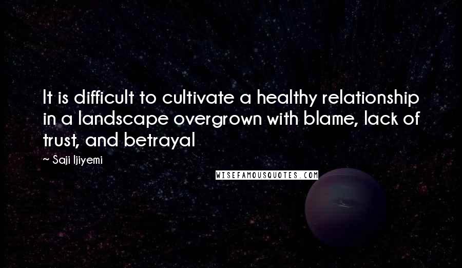 Saji Ijiyemi Quotes: It is difficult to cultivate a healthy relationship in a landscape overgrown with blame, lack of trust, and betrayal