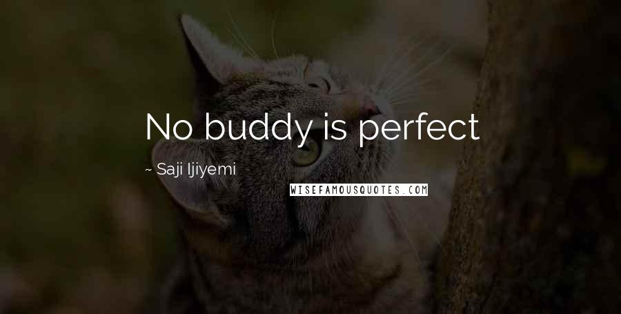 Saji Ijiyemi Quotes: No buddy is perfect