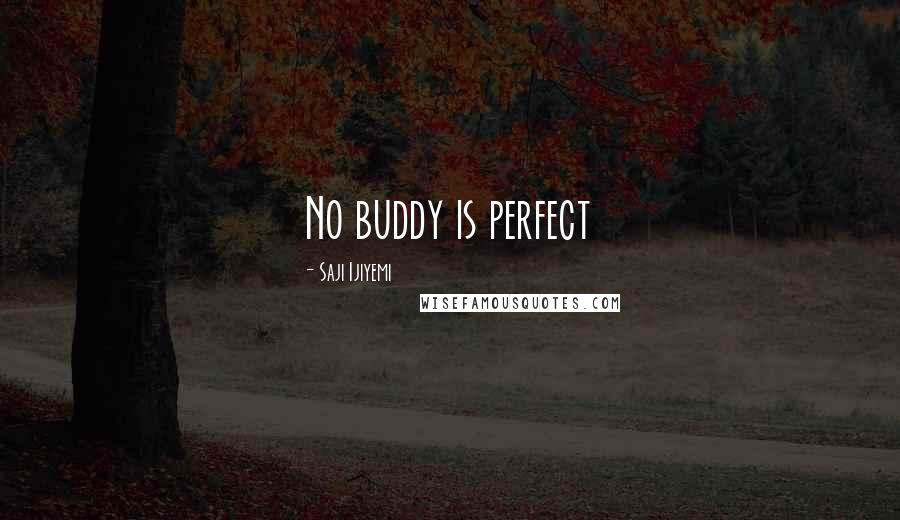 Saji Ijiyemi Quotes: No buddy is perfect