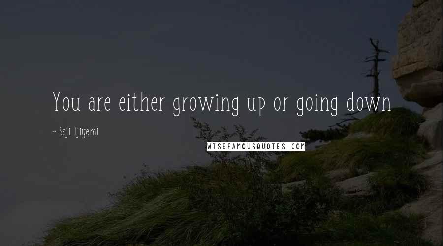 Saji Ijiyemi Quotes: You are either growing up or going down