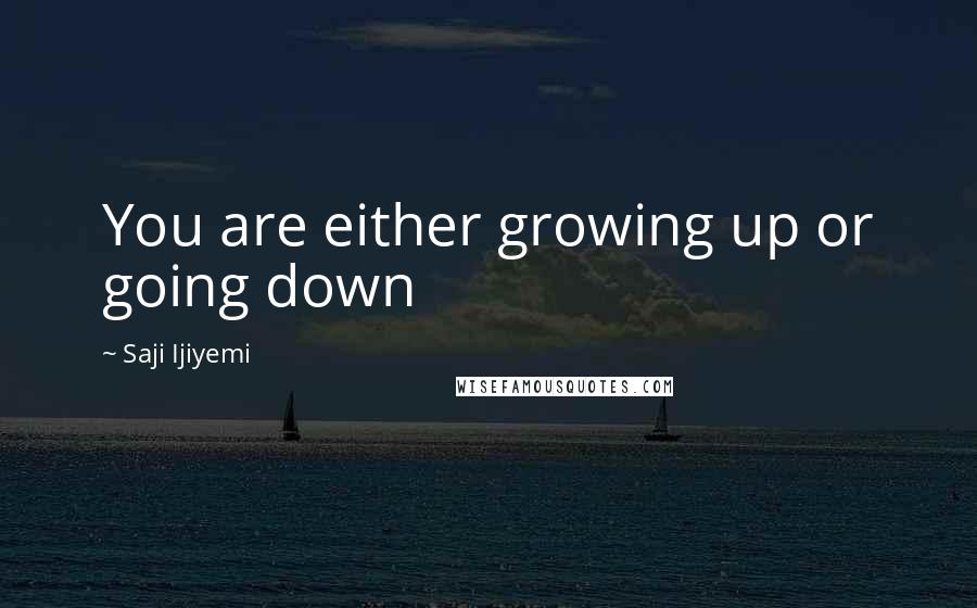 Saji Ijiyemi Quotes: You are either growing up or going down