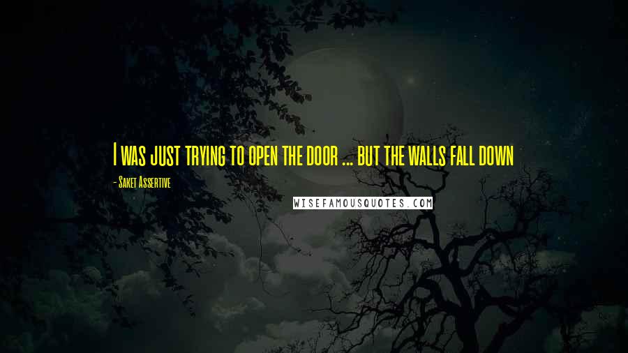 Saket Assertive Quotes: I was just trying to open the door ... but the walls fall down