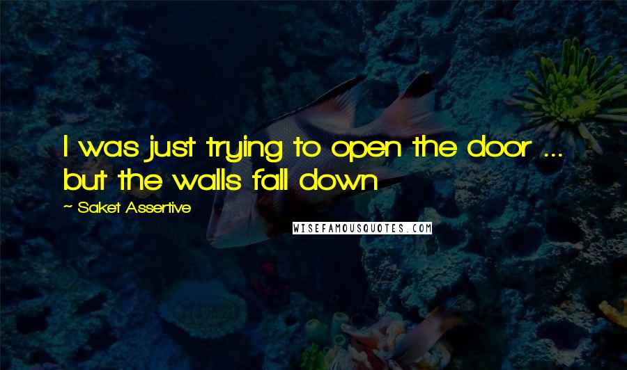 Saket Assertive Quotes: I was just trying to open the door ... but the walls fall down