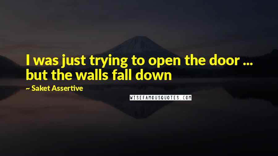 Saket Assertive Quotes: I was just trying to open the door ... but the walls fall down