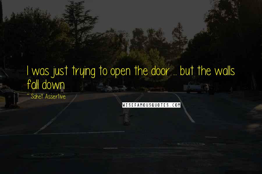 Saket Assertive Quotes: I was just trying to open the door ... but the walls fall down