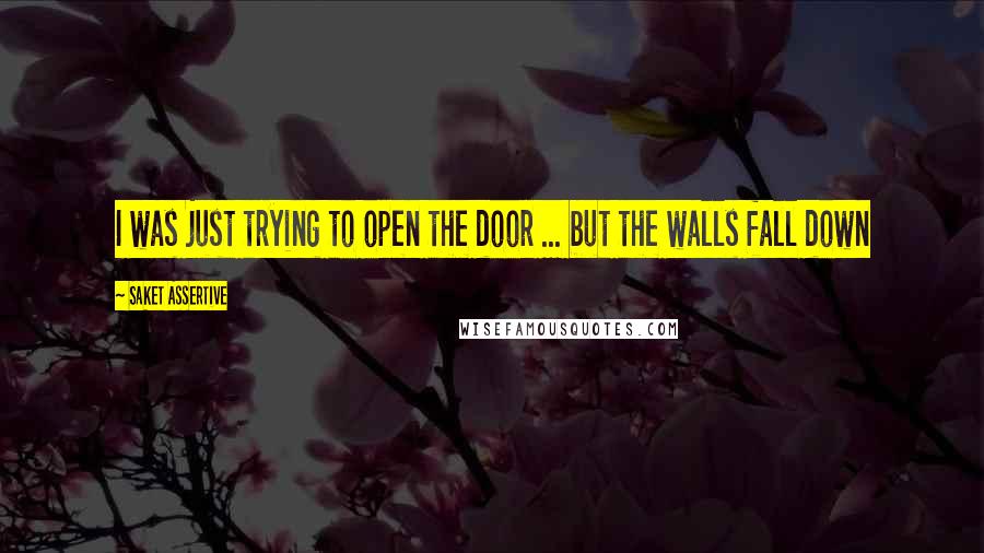 Saket Assertive Quotes: I was just trying to open the door ... but the walls fall down