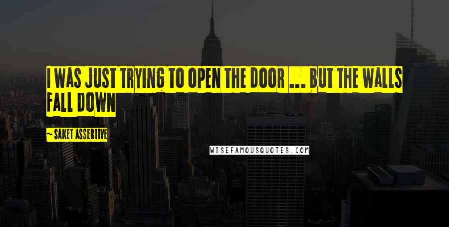 Saket Assertive Quotes: I was just trying to open the door ... but the walls fall down