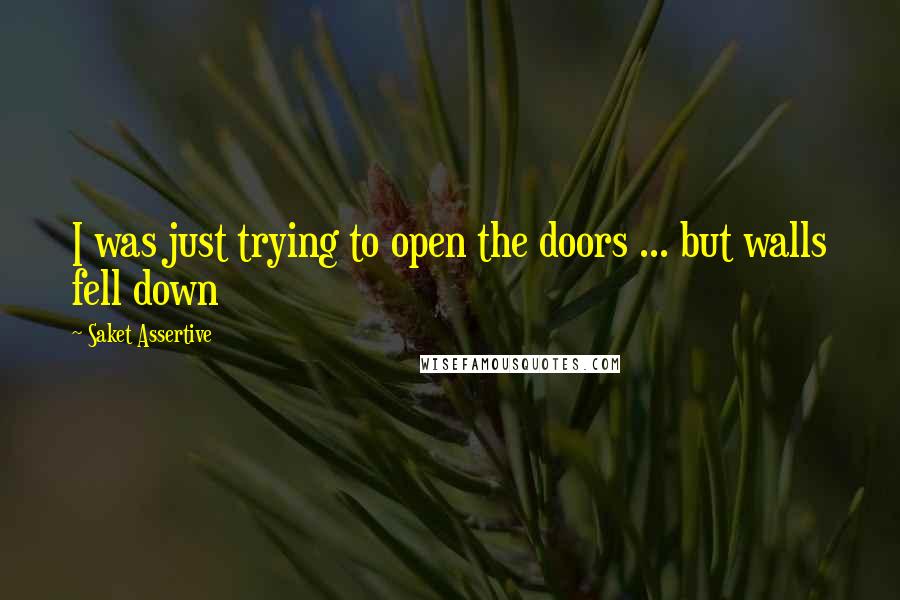 Saket Assertive Quotes: I was just trying to open the doors ... but walls fell down