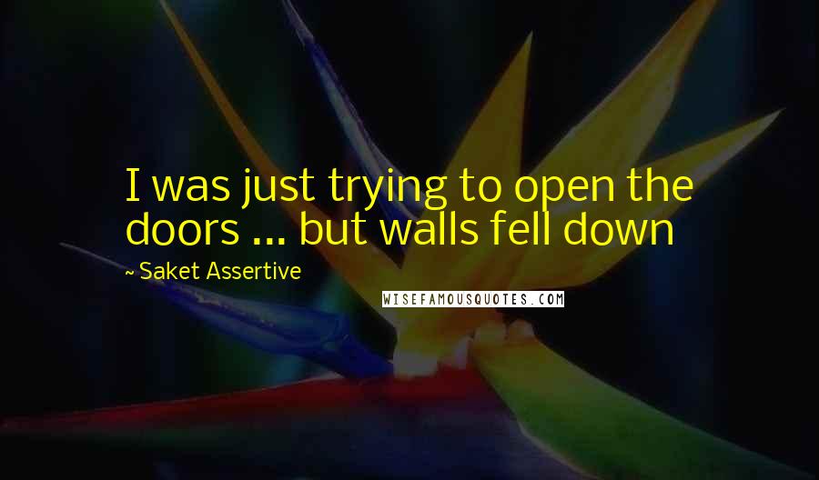 Saket Assertive Quotes: I was just trying to open the doors ... but walls fell down