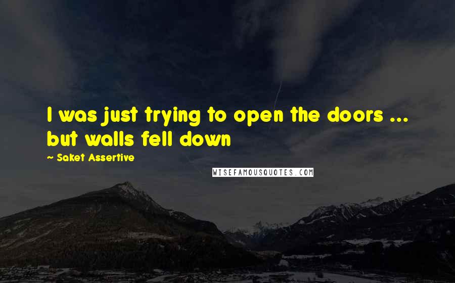 Saket Assertive Quotes: I was just trying to open the doors ... but walls fell down