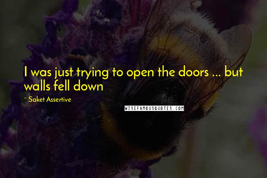 Saket Assertive Quotes: I was just trying to open the doors ... but walls fell down