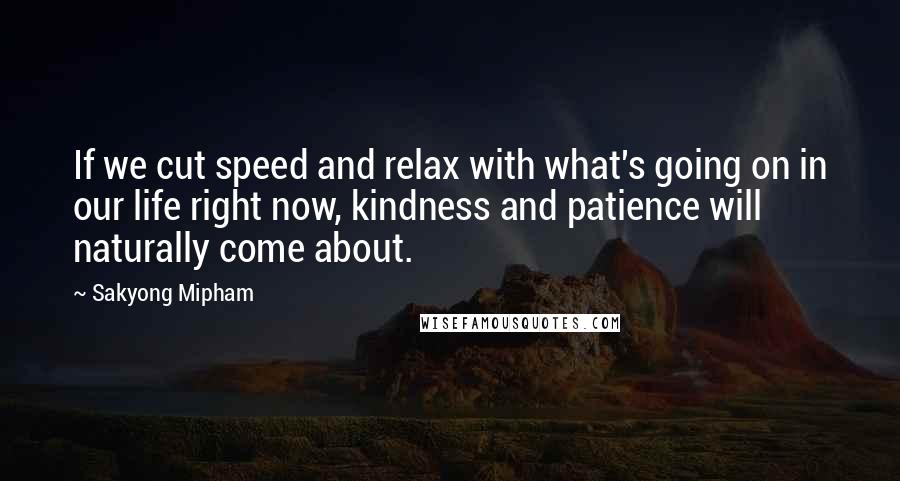 Sakyong Mipham Quotes: If we cut speed and relax with what's going on in our life right now, kindness and patience will naturally come about.