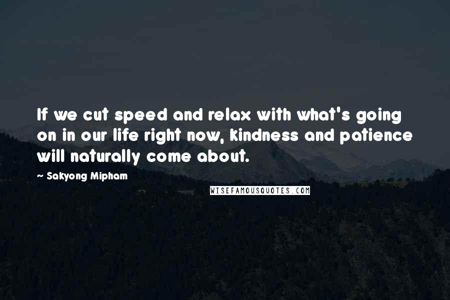 Sakyong Mipham Quotes: If we cut speed and relax with what's going on in our life right now, kindness and patience will naturally come about.