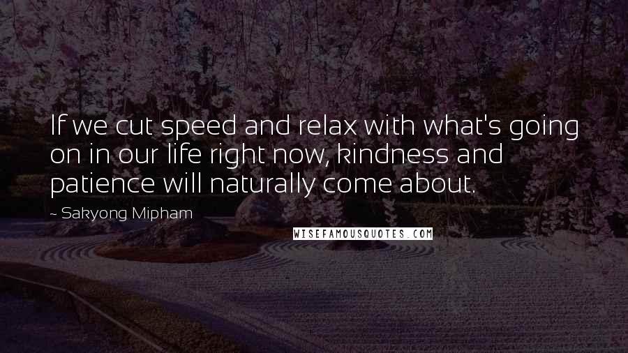 Sakyong Mipham Quotes: If we cut speed and relax with what's going on in our life right now, kindness and patience will naturally come about.