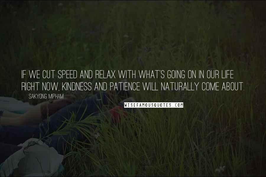 Sakyong Mipham Quotes: If we cut speed and relax with what's going on in our life right now, kindness and patience will naturally come about.