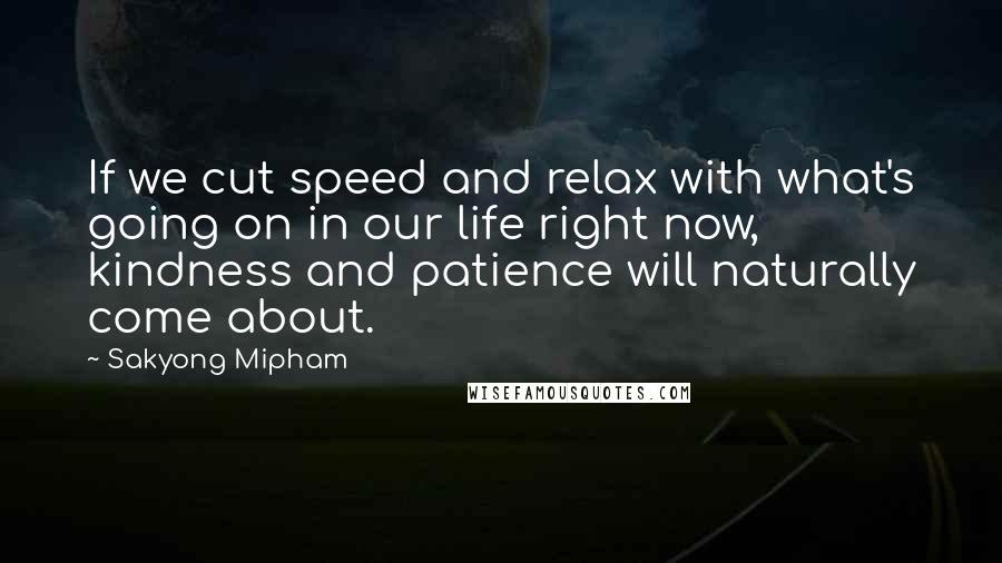 Sakyong Mipham Quotes: If we cut speed and relax with what's going on in our life right now, kindness and patience will naturally come about.