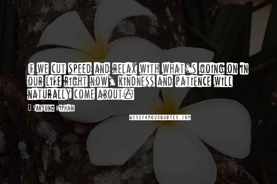 Sakyong Mipham Quotes: If we cut speed and relax with what's going on in our life right now, kindness and patience will naturally come about.