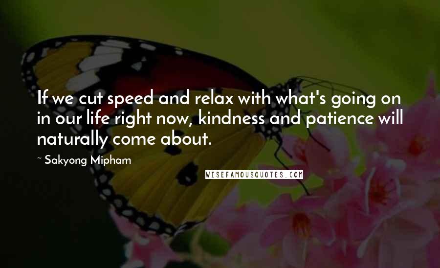 Sakyong Mipham Quotes: If we cut speed and relax with what's going on in our life right now, kindness and patience will naturally come about.