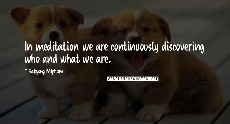 Sakyong Mipham Quotes: In meditation we are continuously discovering who and what we are.