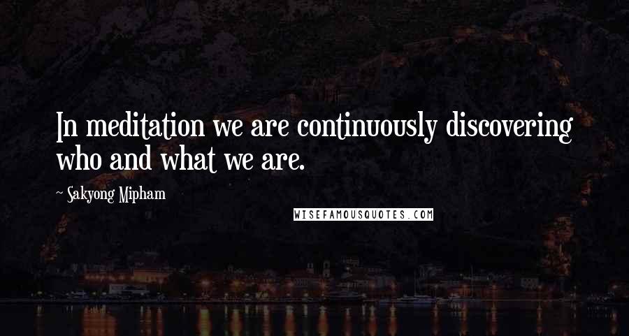 Sakyong Mipham Quotes: In meditation we are continuously discovering who and what we are.