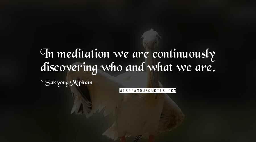 Sakyong Mipham Quotes: In meditation we are continuously discovering who and what we are.