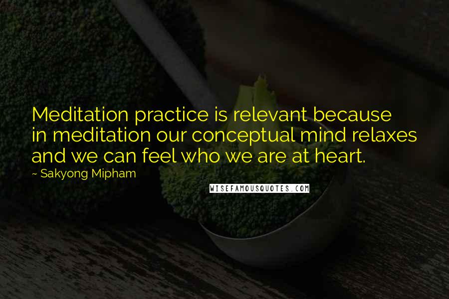 Sakyong Mipham Quotes: Meditation practice is relevant because in meditation our conceptual mind relaxes and we can feel who we are at heart.