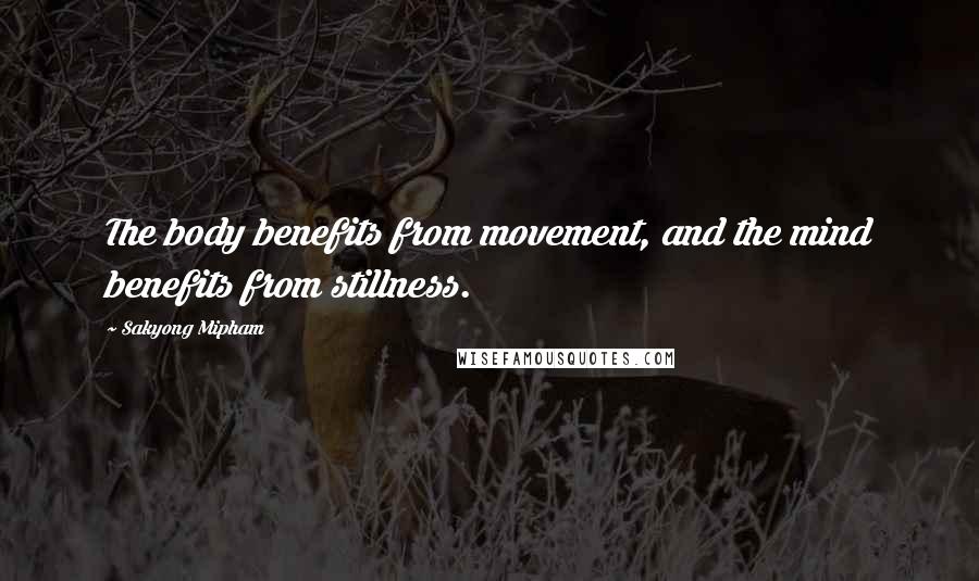 Sakyong Mipham Quotes: The body benefits from movement, and the mind benefits from stillness.