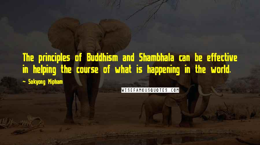 Sakyong Mipham Quotes: The principles of Buddhism and Shambhala can be effective in helping the course of what is happening in the world.