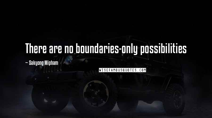 Sakyong Mipham Quotes: There are no boundaries-only possibilities