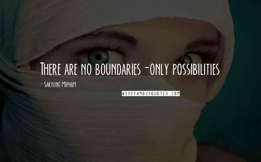 Sakyong Mipham Quotes: There are no boundaries-only possibilities