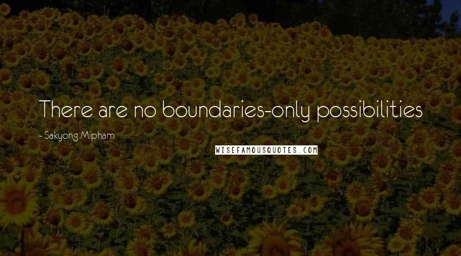 Sakyong Mipham Quotes: There are no boundaries-only possibilities