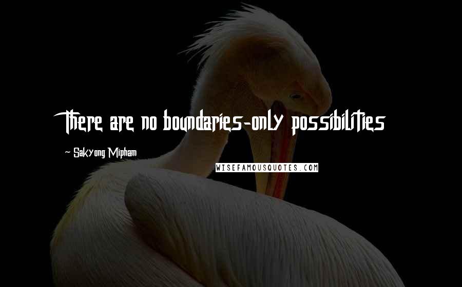 Sakyong Mipham Quotes: There are no boundaries-only possibilities