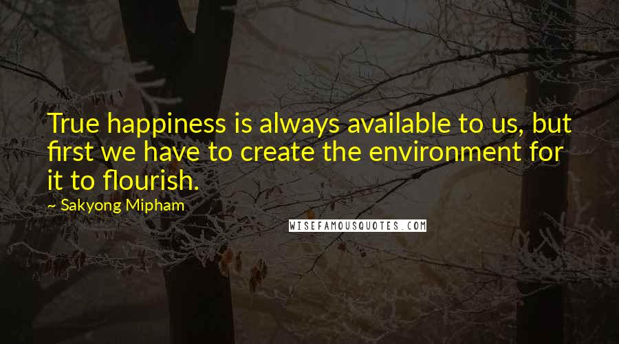 Sakyong Mipham Quotes: True happiness is always available to us, but first we have to create the environment for it to flourish.