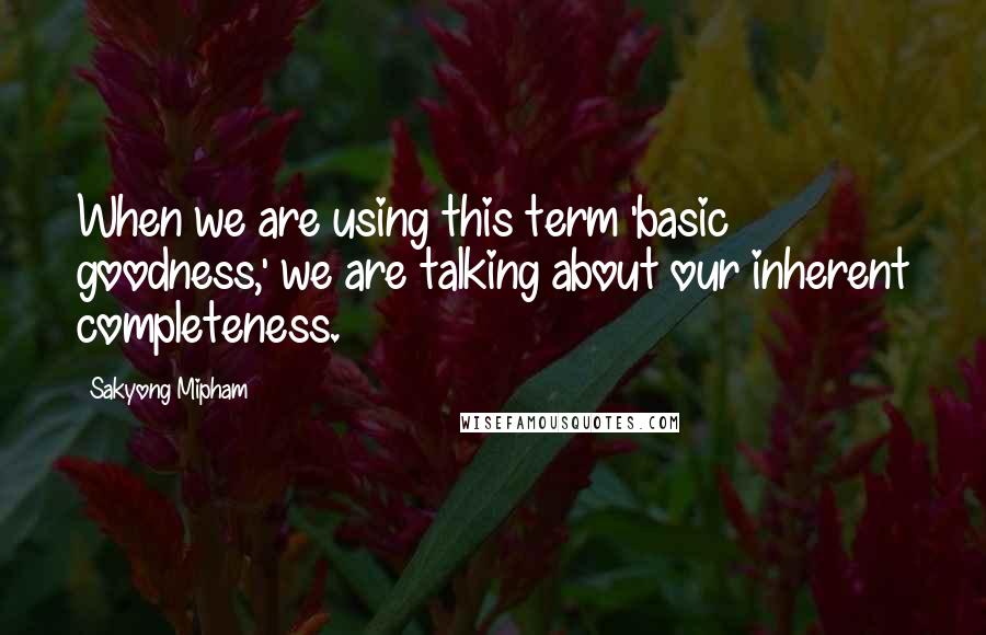 Sakyong Mipham Quotes: When we are using this term 'basic goodness,' we are talking about our inherent completeness.