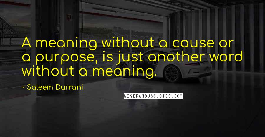 Saleem Durrani Quotes: A meaning without a cause or a purpose, is just another word without a meaning.