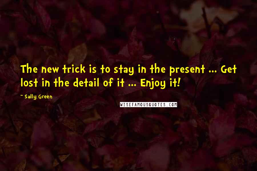 Sally Green Quotes: The new trick is to stay in the present ... Get lost in the detail of it ... Enjoy it!