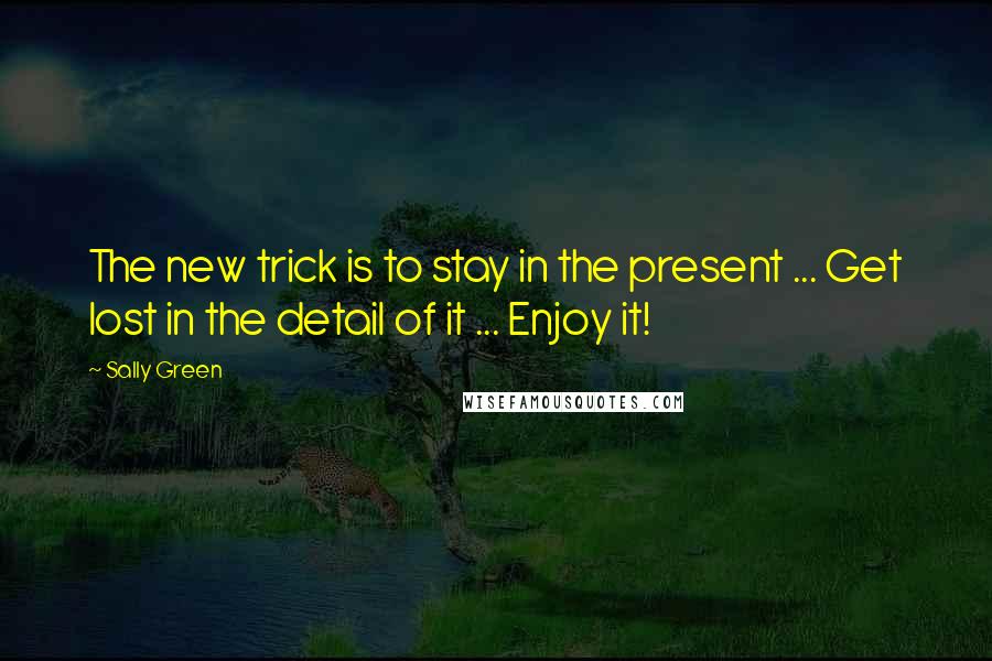 Sally Green Quotes: The new trick is to stay in the present ... Get lost in the detail of it ... Enjoy it!