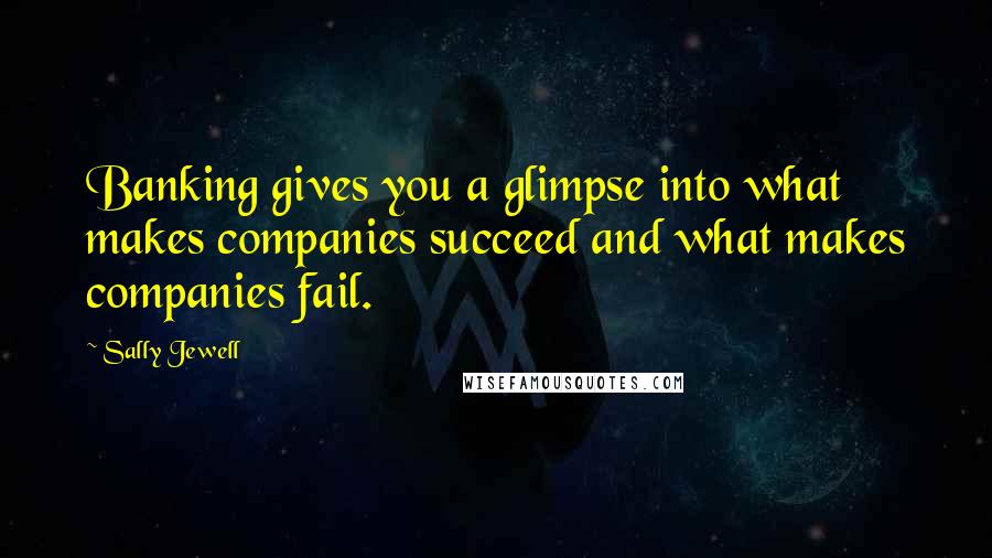 Sally Jewell Quotes: Banking gives you a glimpse into what makes companies succeed and what makes companies fail.