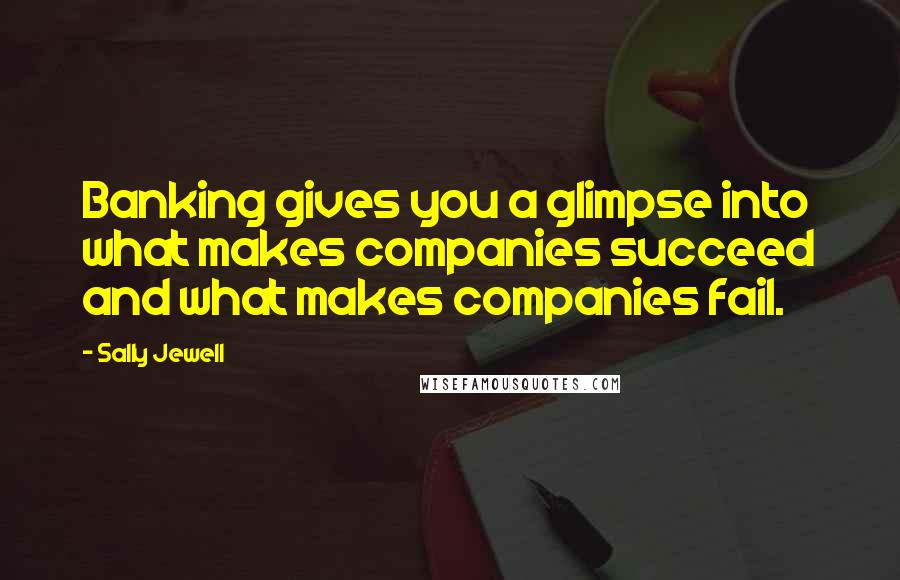 Sally Jewell Quotes: Banking gives you a glimpse into what makes companies succeed and what makes companies fail.