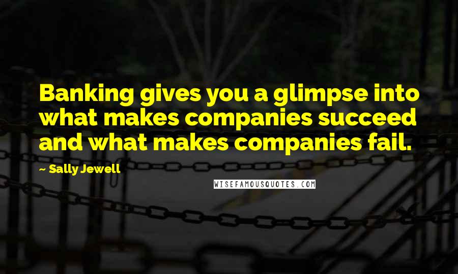 Sally Jewell Quotes: Banking gives you a glimpse into what makes companies succeed and what makes companies fail.