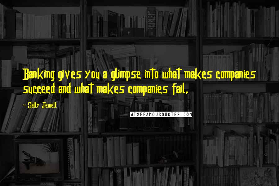 Sally Jewell Quotes: Banking gives you a glimpse into what makes companies succeed and what makes companies fail.