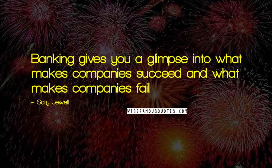 Sally Jewell Quotes: Banking gives you a glimpse into what makes companies succeed and what makes companies fail.
