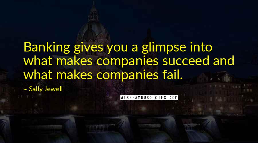 Sally Jewell Quotes: Banking gives you a glimpse into what makes companies succeed and what makes companies fail.