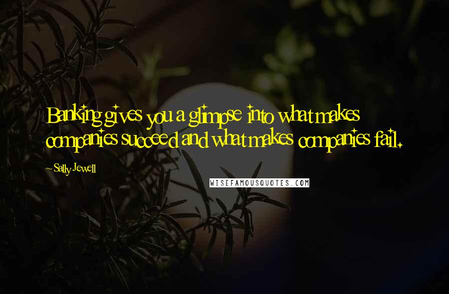 Sally Jewell Quotes: Banking gives you a glimpse into what makes companies succeed and what makes companies fail.