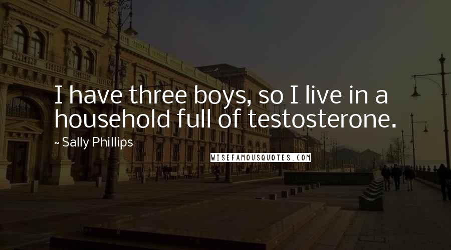 Sally Phillips Quotes: I have three boys, so I live in a household full of testosterone.